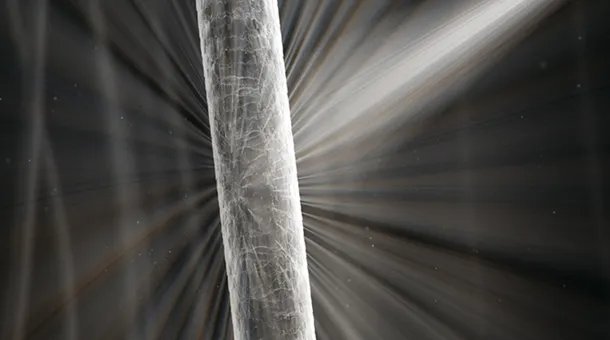 Здоровые волосы отражают свет