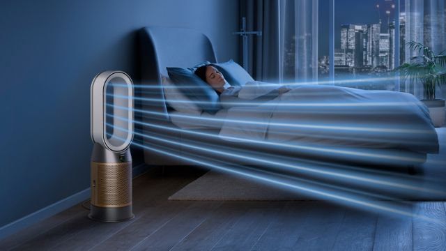 Как пережить жаркое лето: советы от экспертов Dyson